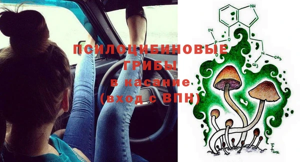 сатива Богданович