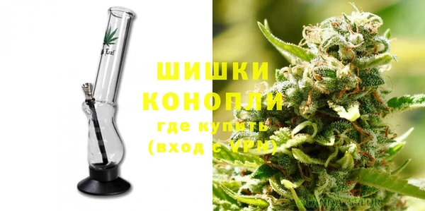 сатива Богданович