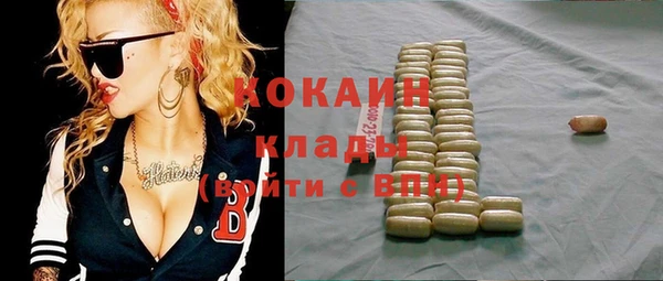 сатива Богданович