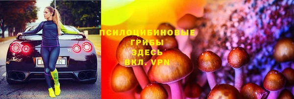 первитин Богородск