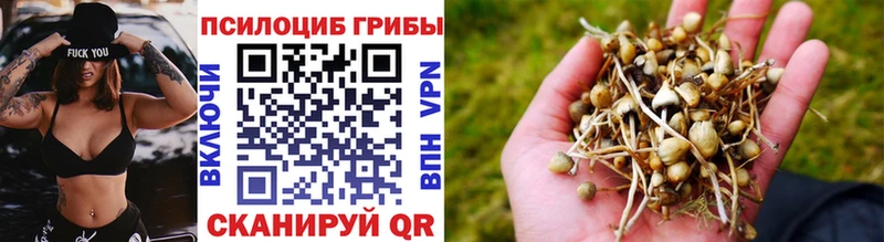 Галлюциногенные грибы Magic Shrooms  Наволоки 